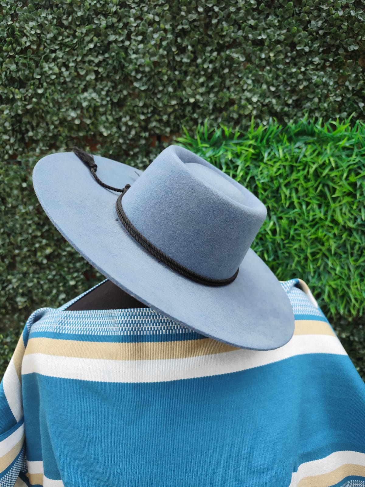 Sombrero de aleta corta gris azulado más tabla — imagen 2