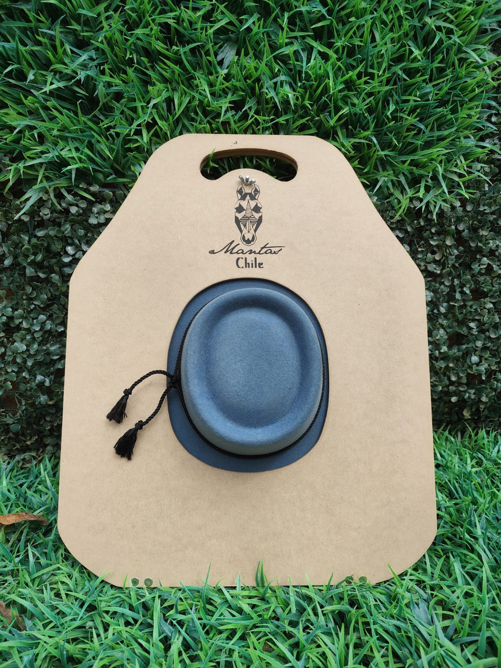 Sombrero de aleta corta gris azulado más tabla — imagen 5