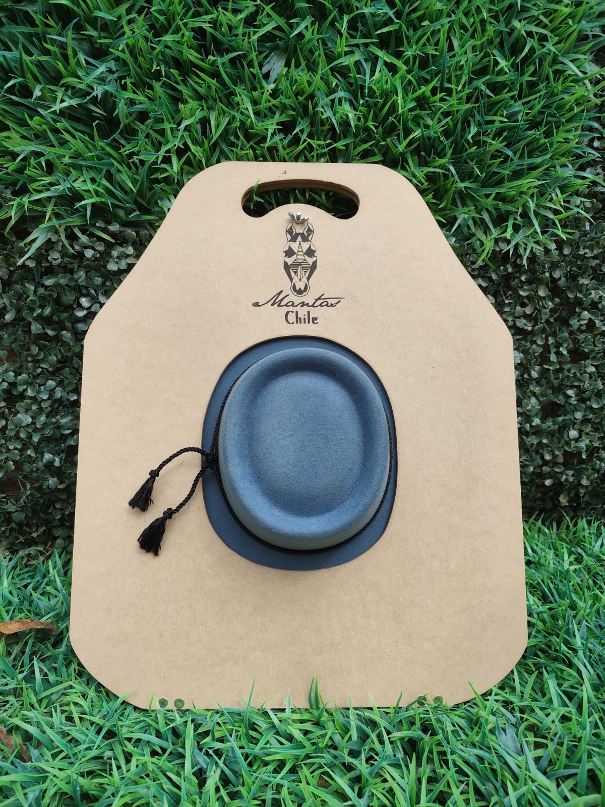 Sombrero de aleta corta gris azulado más tabla — imagen 5