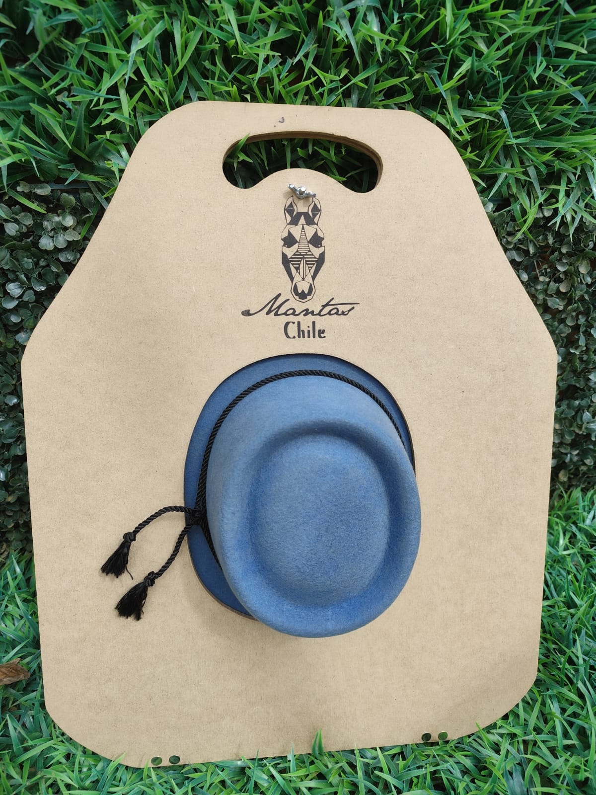 Sombrero de aleta corta gris azulado más tabla — imagen 6