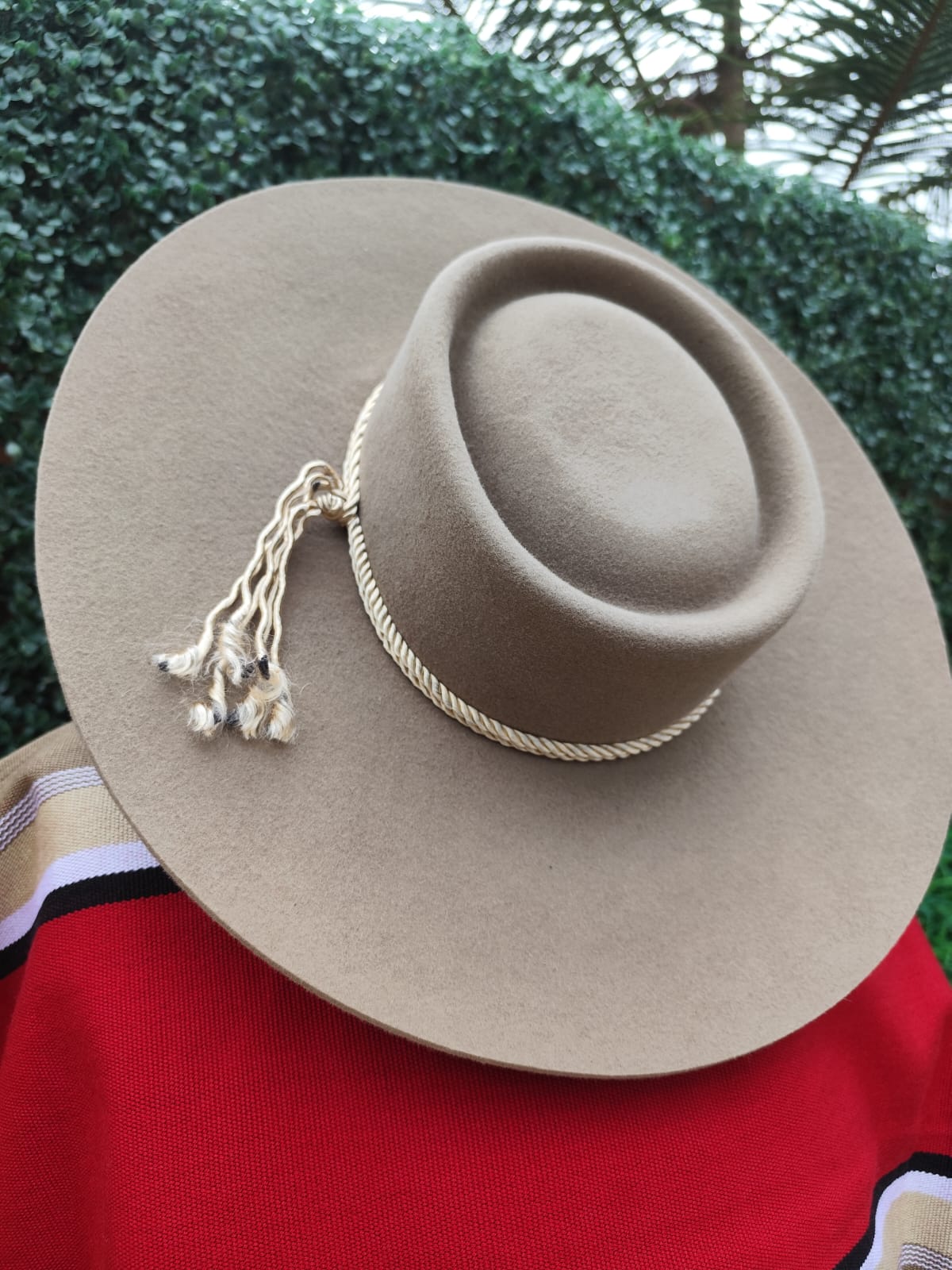 Sombrero de aleta larga color cáscara más tabla — imagen 5
