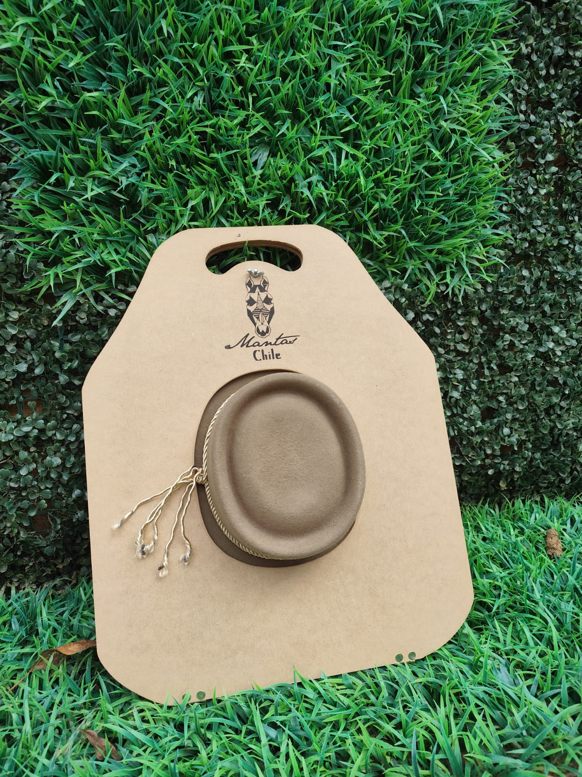 Sombrero de aleta larga color cáscara más tabla — imagen 6